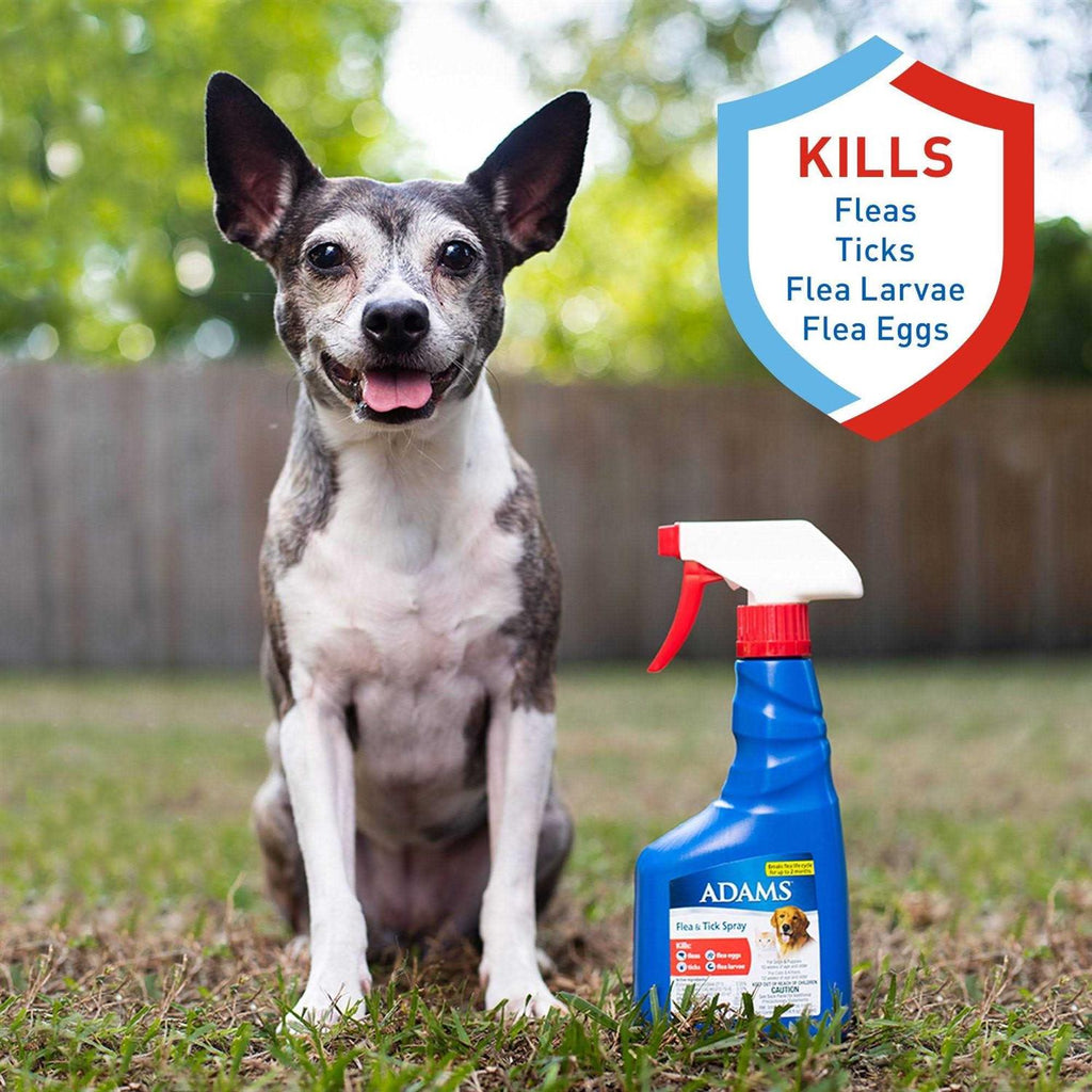 Flea and Tick Spray for Pets Q14769