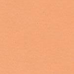 Touch-Up Marker - 12 Pack Assortment Y55712