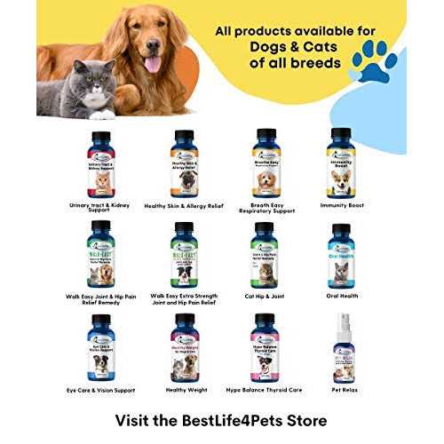 Cat Thyroid Supplement for Weight Gain and Metabolic Support Y7948