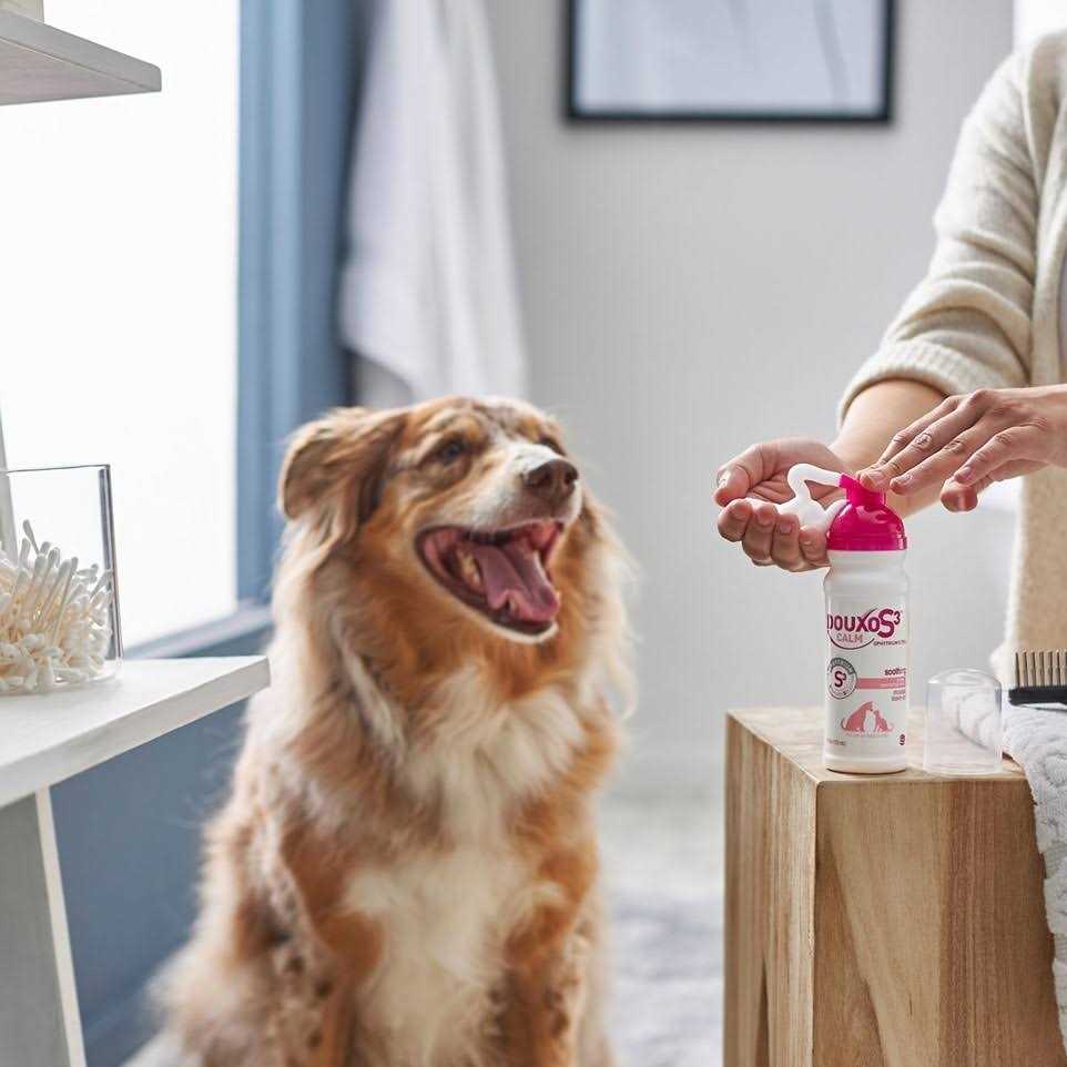 Calm Mousse for Pets T507