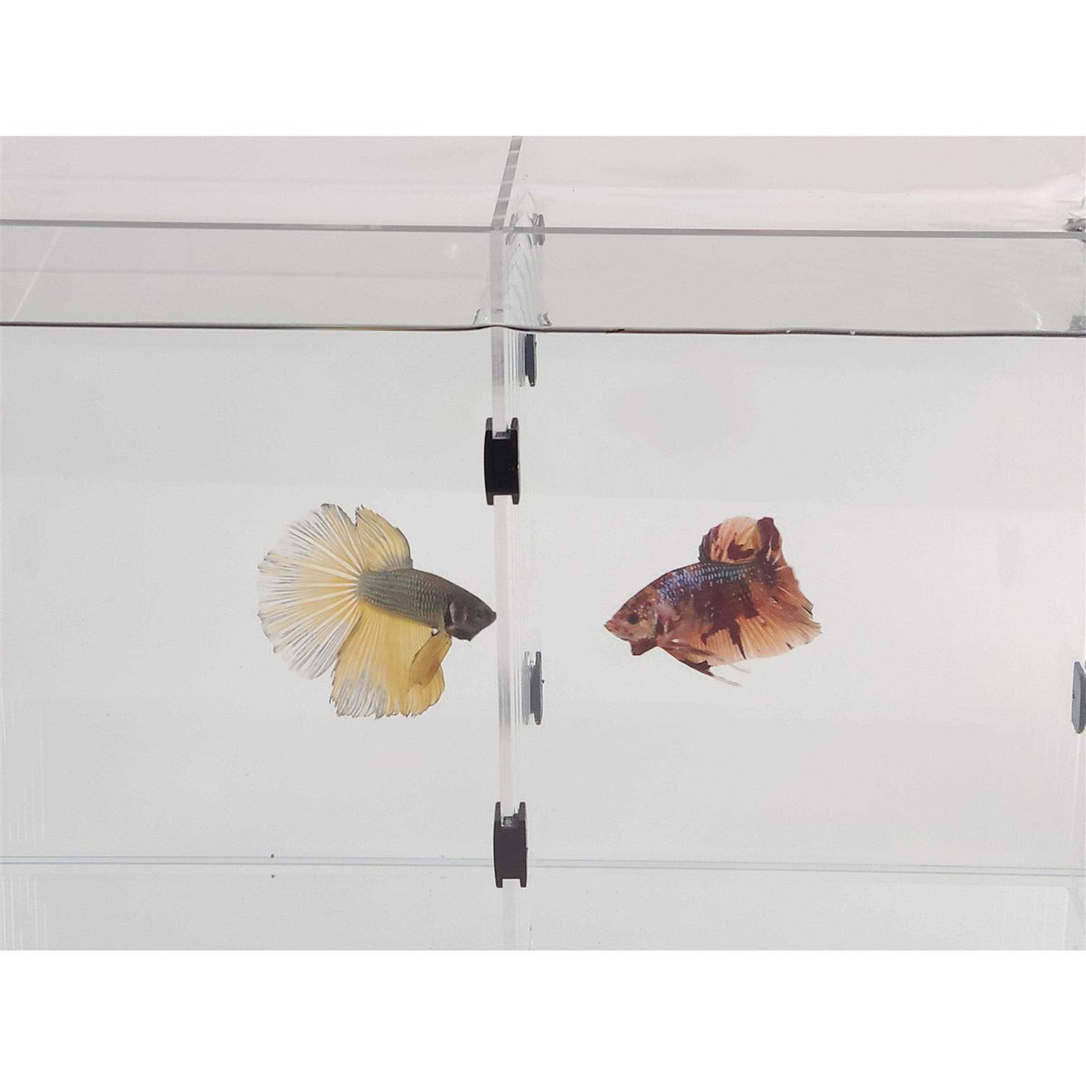 Bookshelf Aquarium F88540
