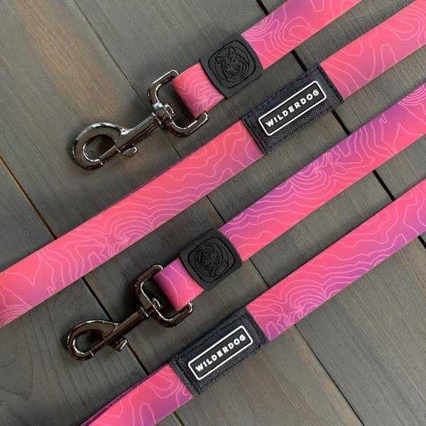 Waterproof Dog Leash F312482