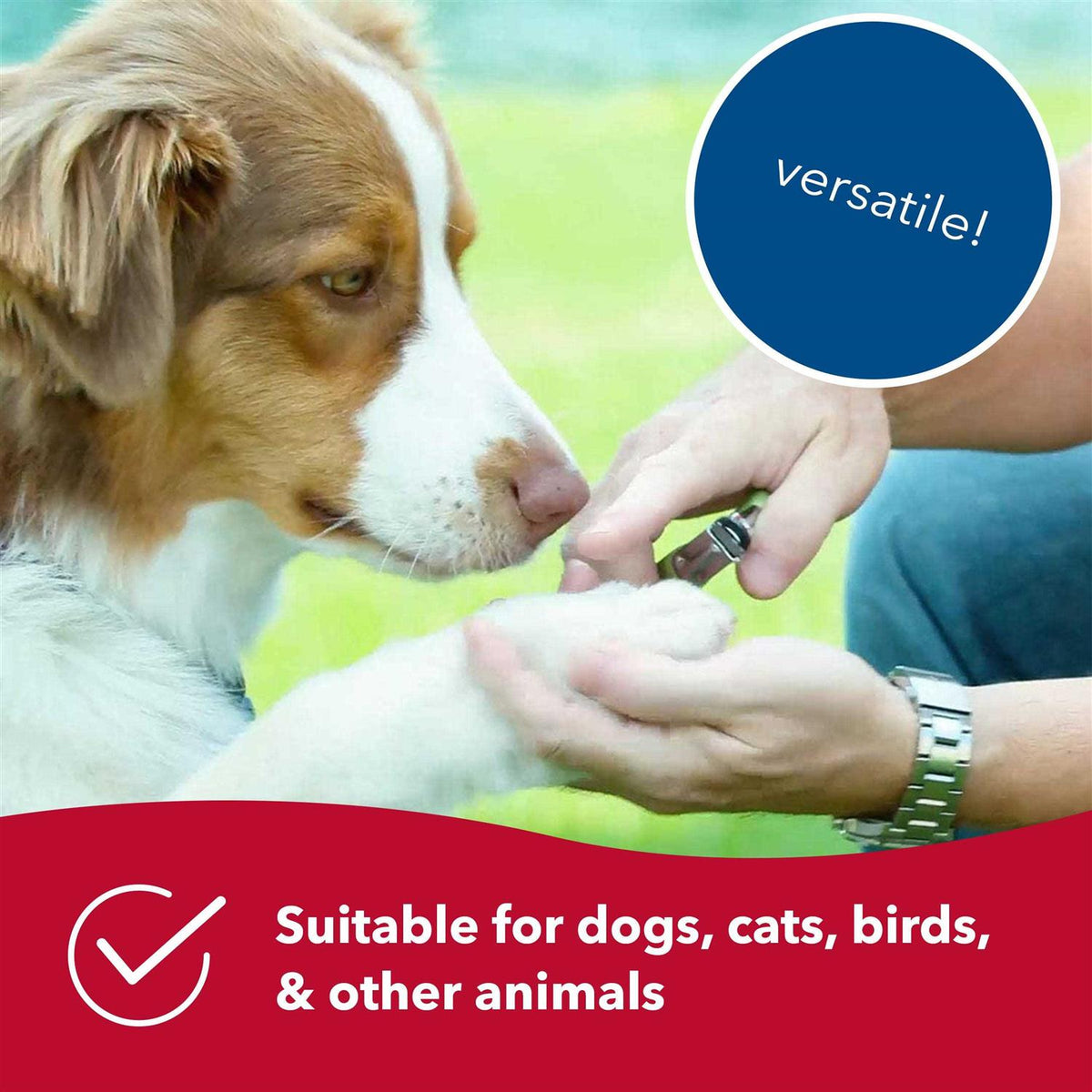 Guillotine Nail Trimmer for Dogs C3033