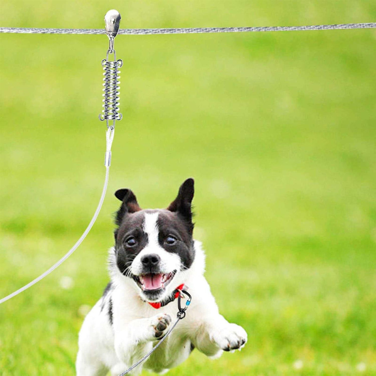 Dog Tie Out Runner for Yard with 10ft Pulley Line for Large Dogs N884134