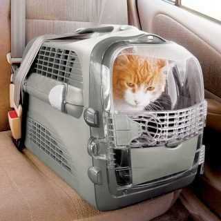 Cat Carrier P818505