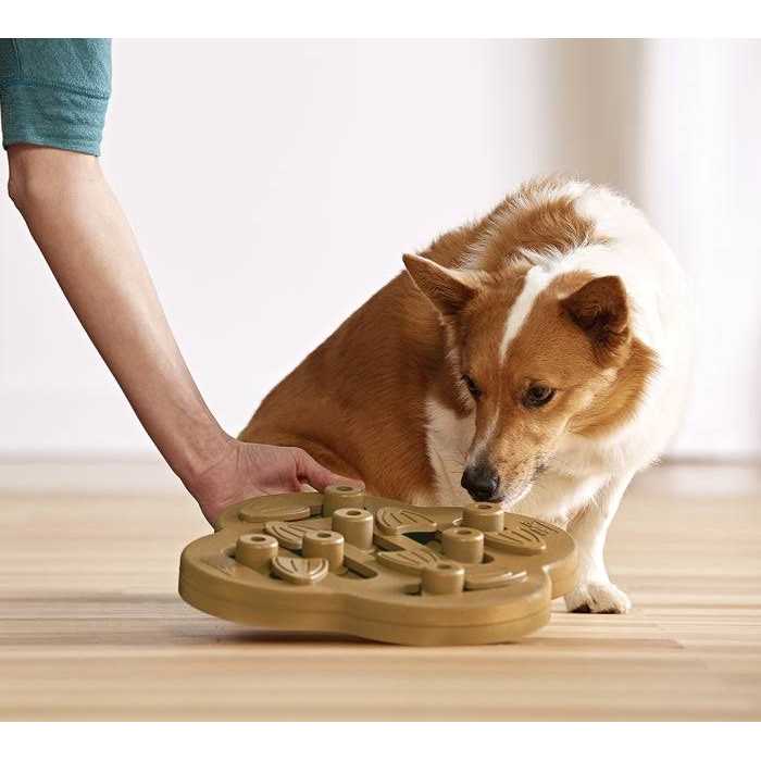Puzzle Dog Toy I83388