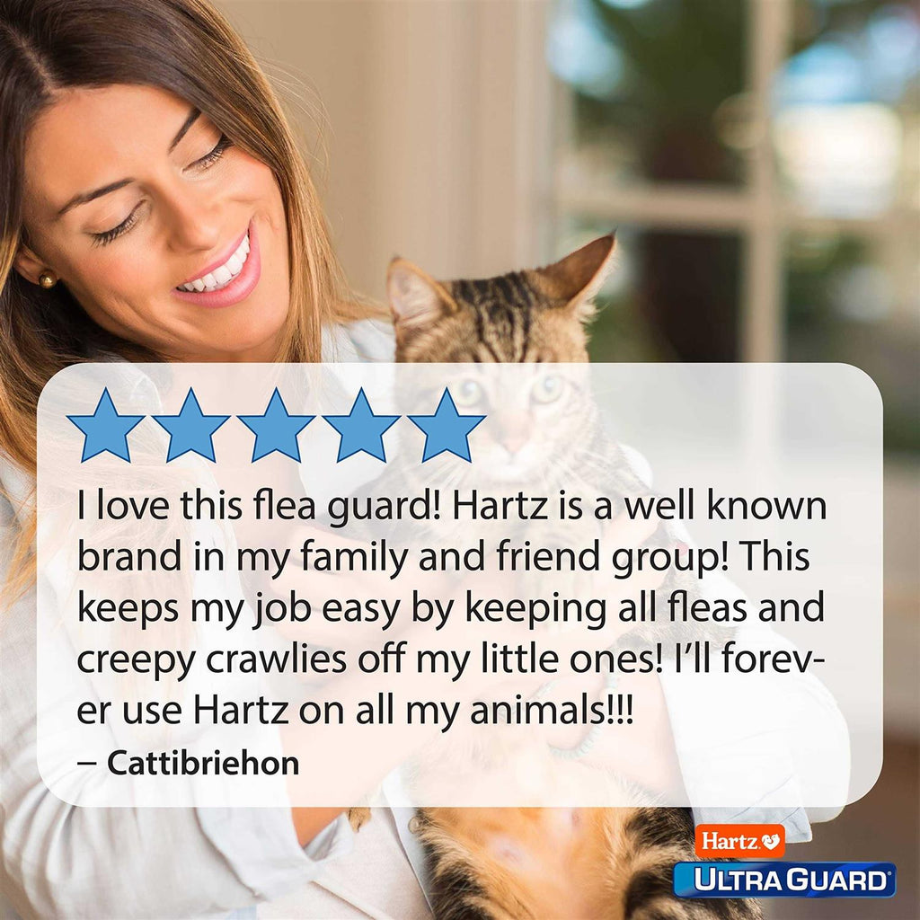 Flea and Tick Prevention for Cats J436816