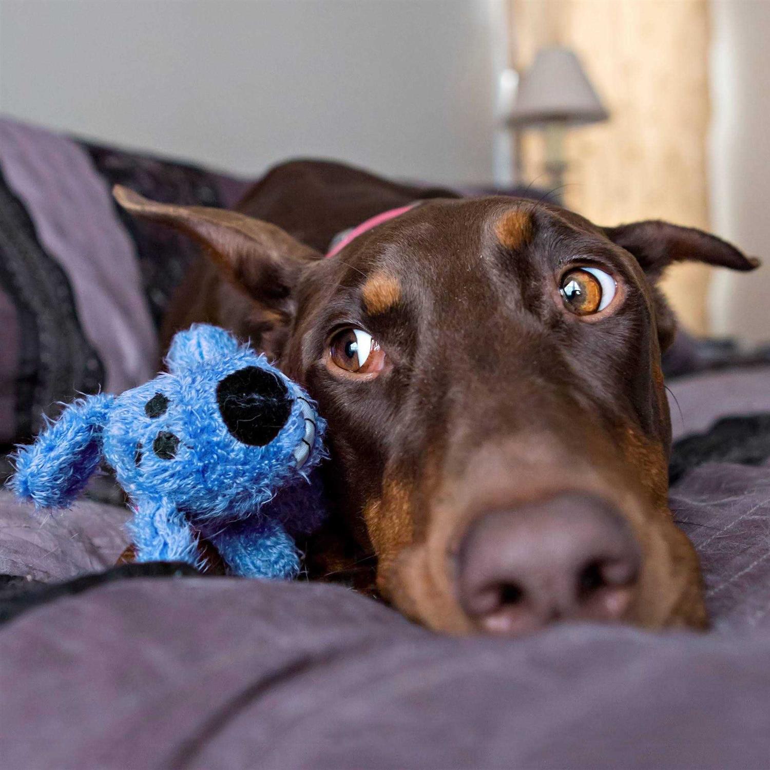 Dog Toy X4234