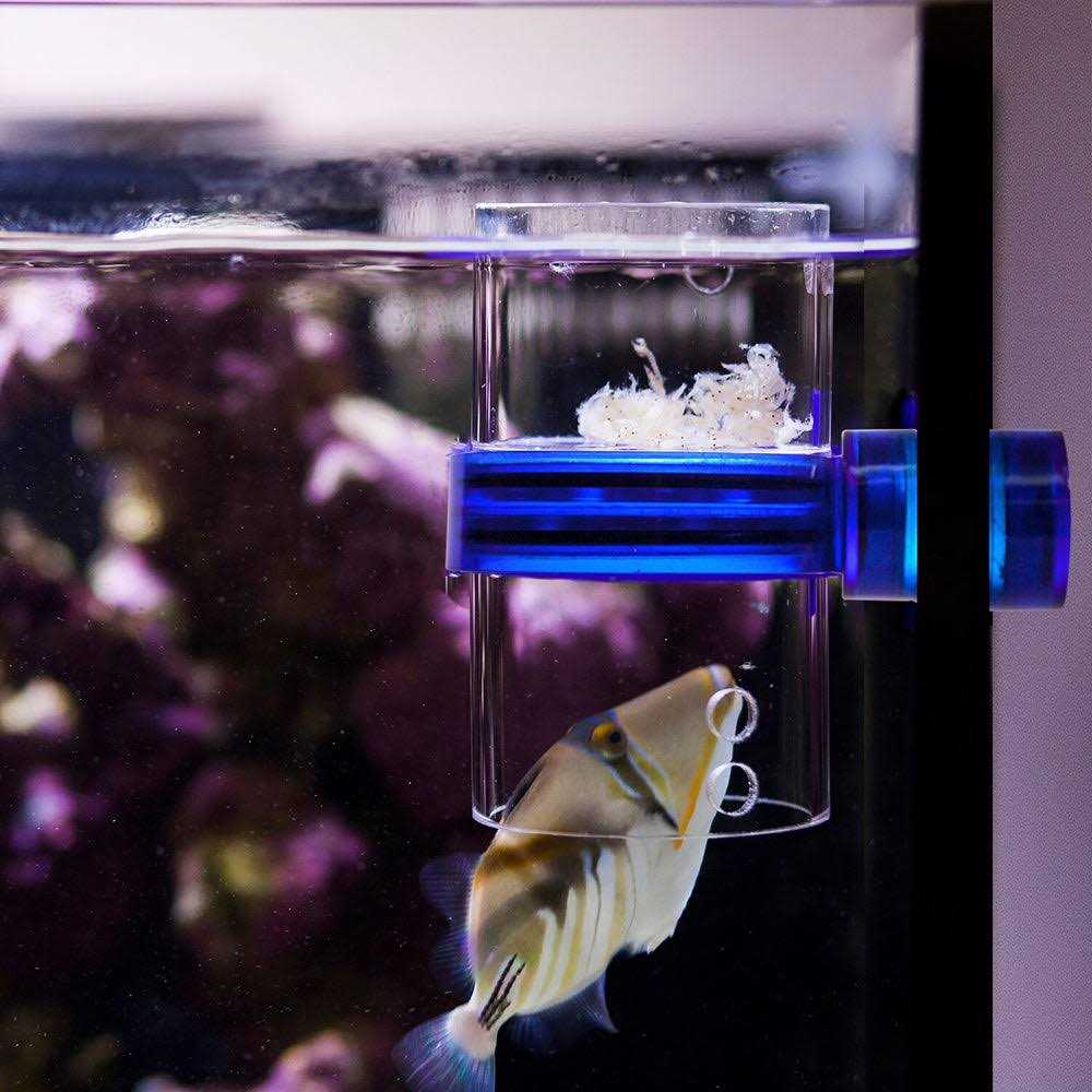 Magnetic Frozen Food Feeder for Aquarium Pets D2680