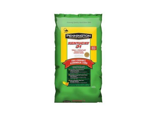 Kentucky 31 Tall Fescue Grass Seed 25 lb A762127
