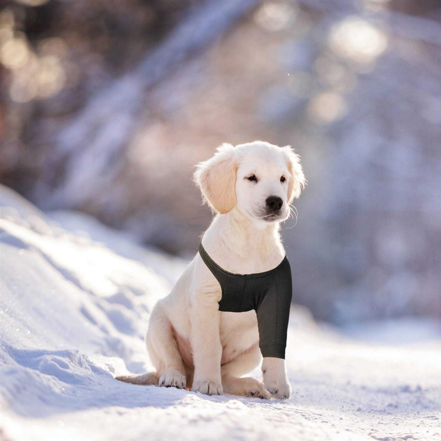 Dog Recovery Sleeve for Pets X956