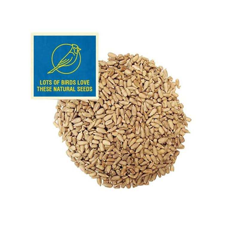 Sunflower Coarse Hearts Bird Seed O6422