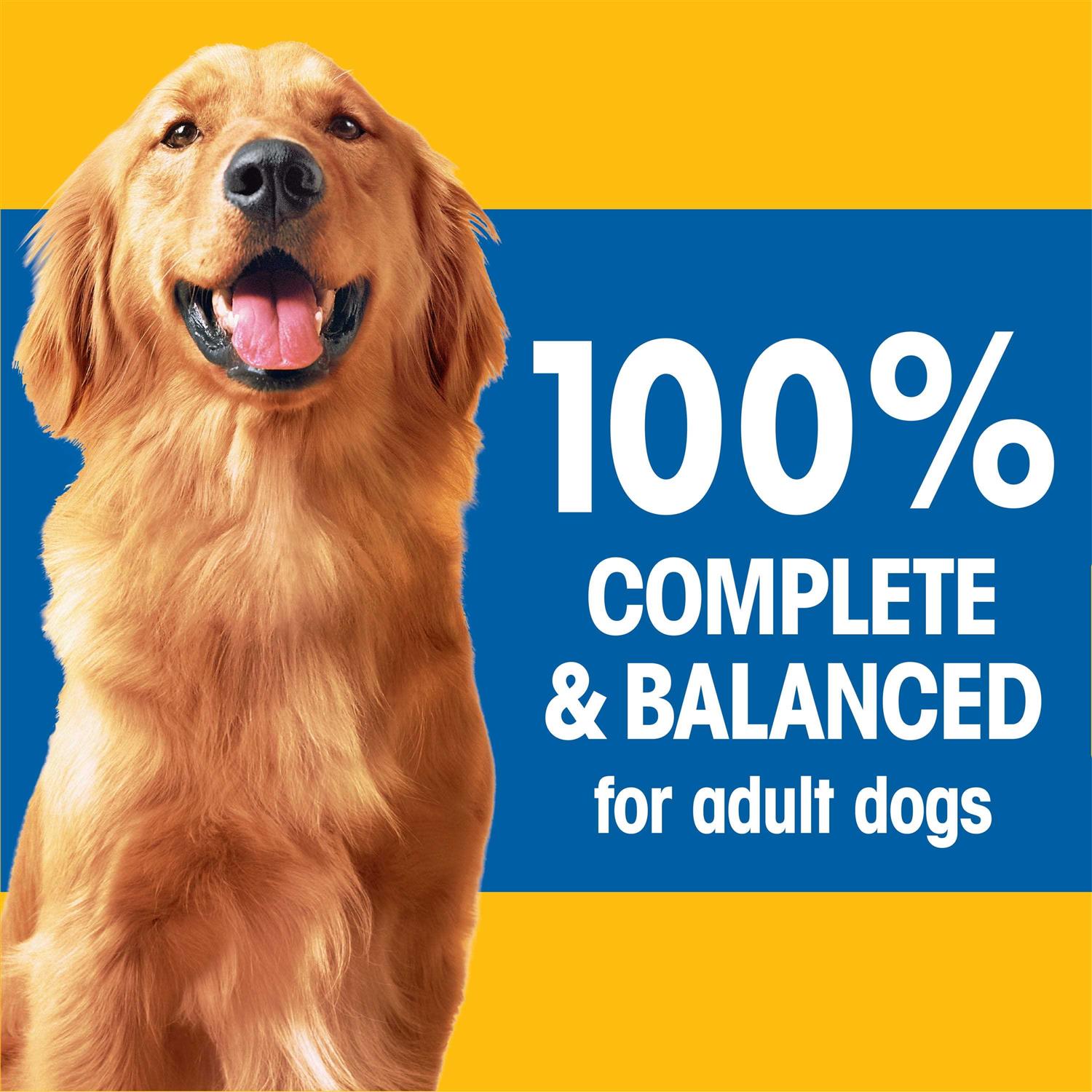 Adult Dry Dog Food P5604