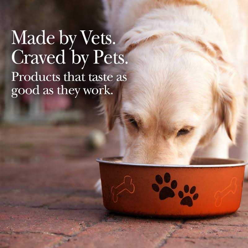 Pumpkin Puree Digestive Supplement for Cats & Dogs L184829