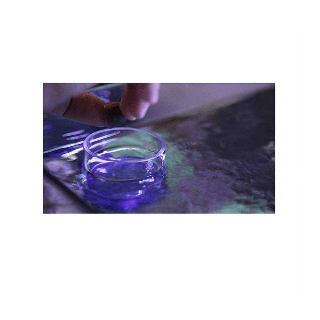 Magnetic Frozen Food Feeder for Aquarium Pets D2680