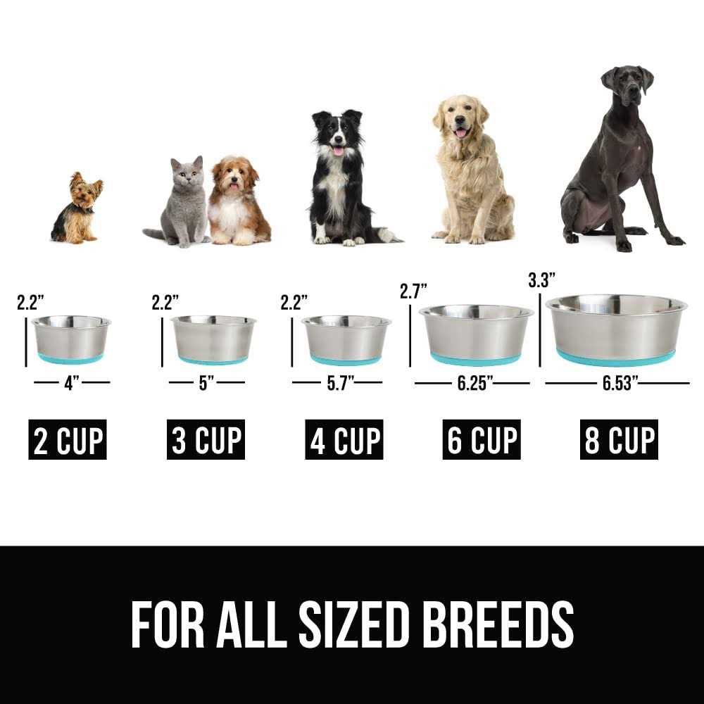 Stainless Steel Dog Bowl Set of 2 with Rubber Base B580215