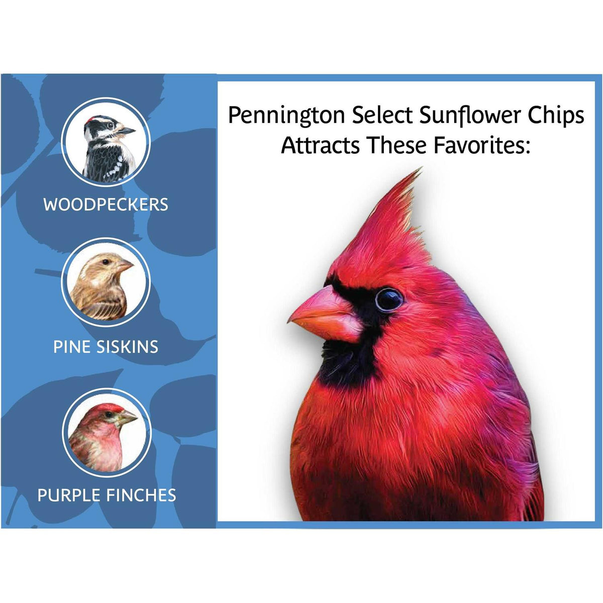 Sunflower Chips for Wild Birds, Dry Bird Food N58506
