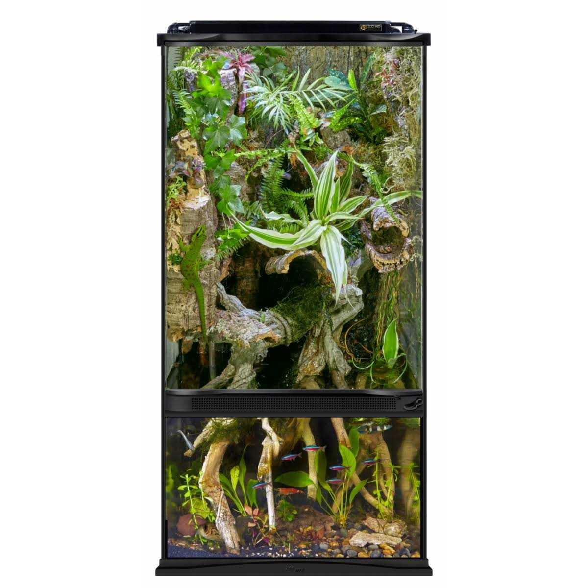 Paludarium Terrarium and Aquarium W816