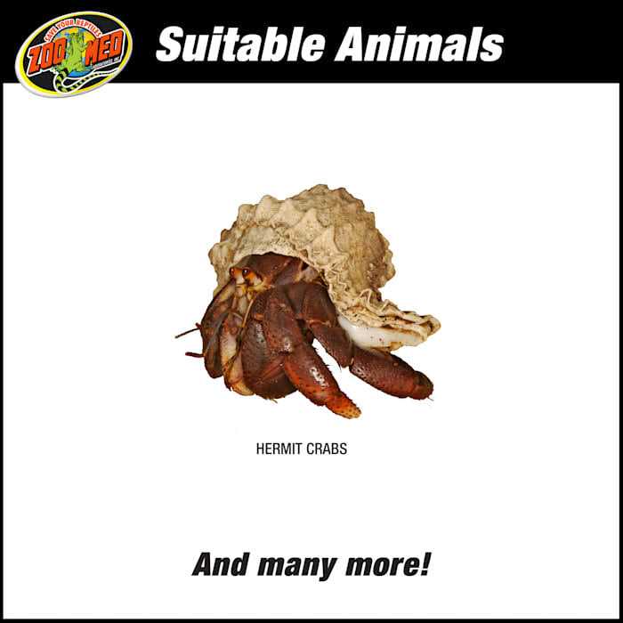 Hermit Crab Habitat Kit F392005