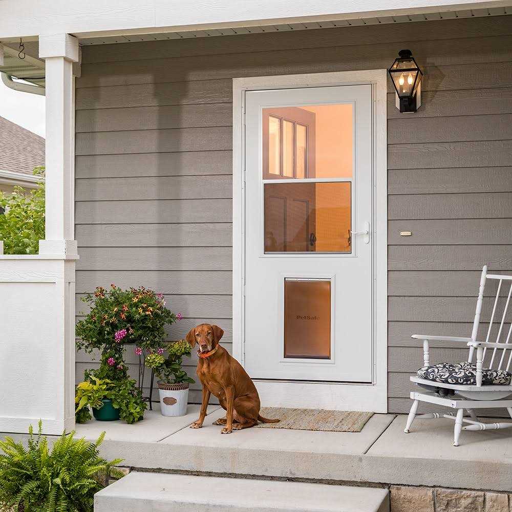 Pet Door XL 81-in White High-view Wood Core Storm Door N241
