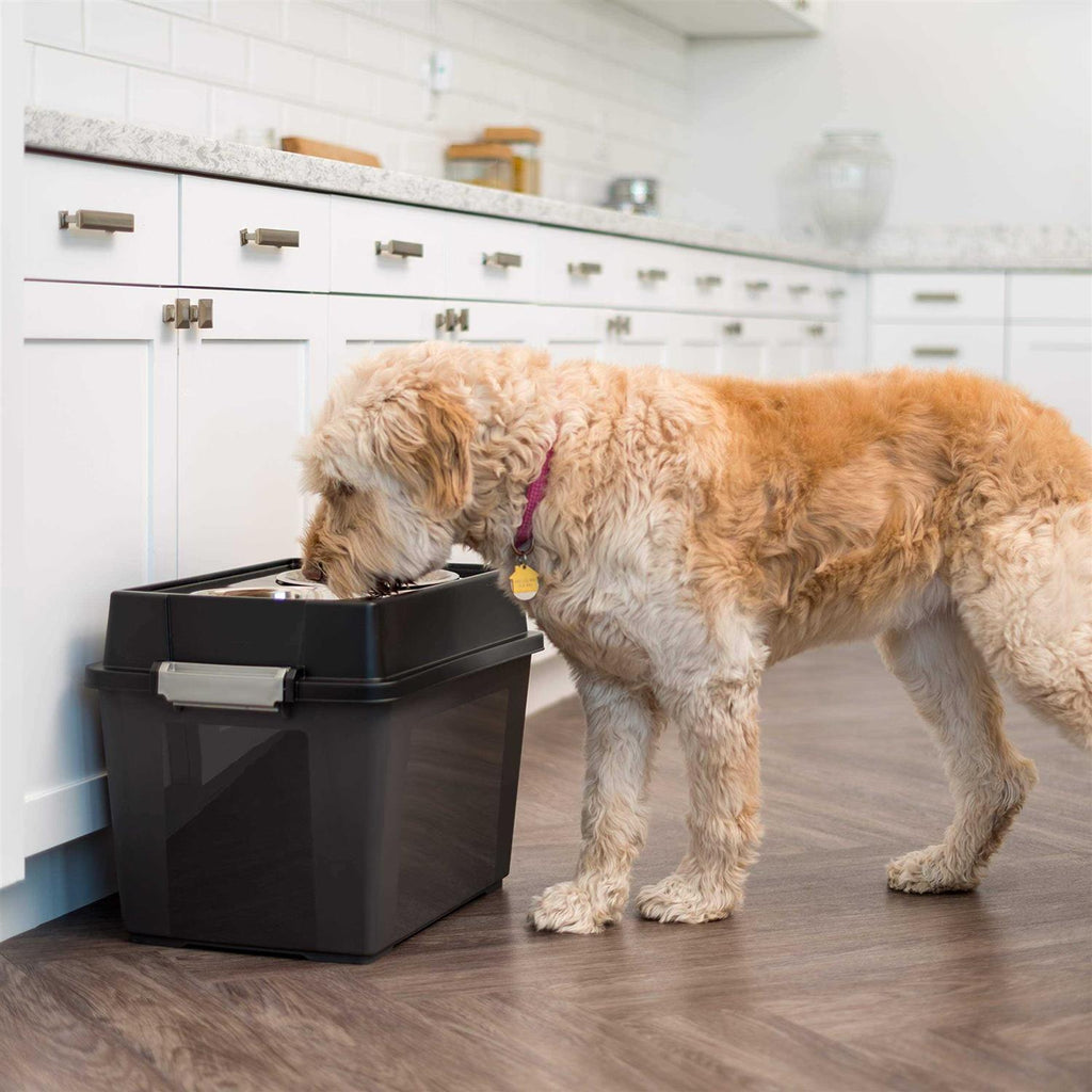 Elevated Pet Feeder with Airtight Storage X538439