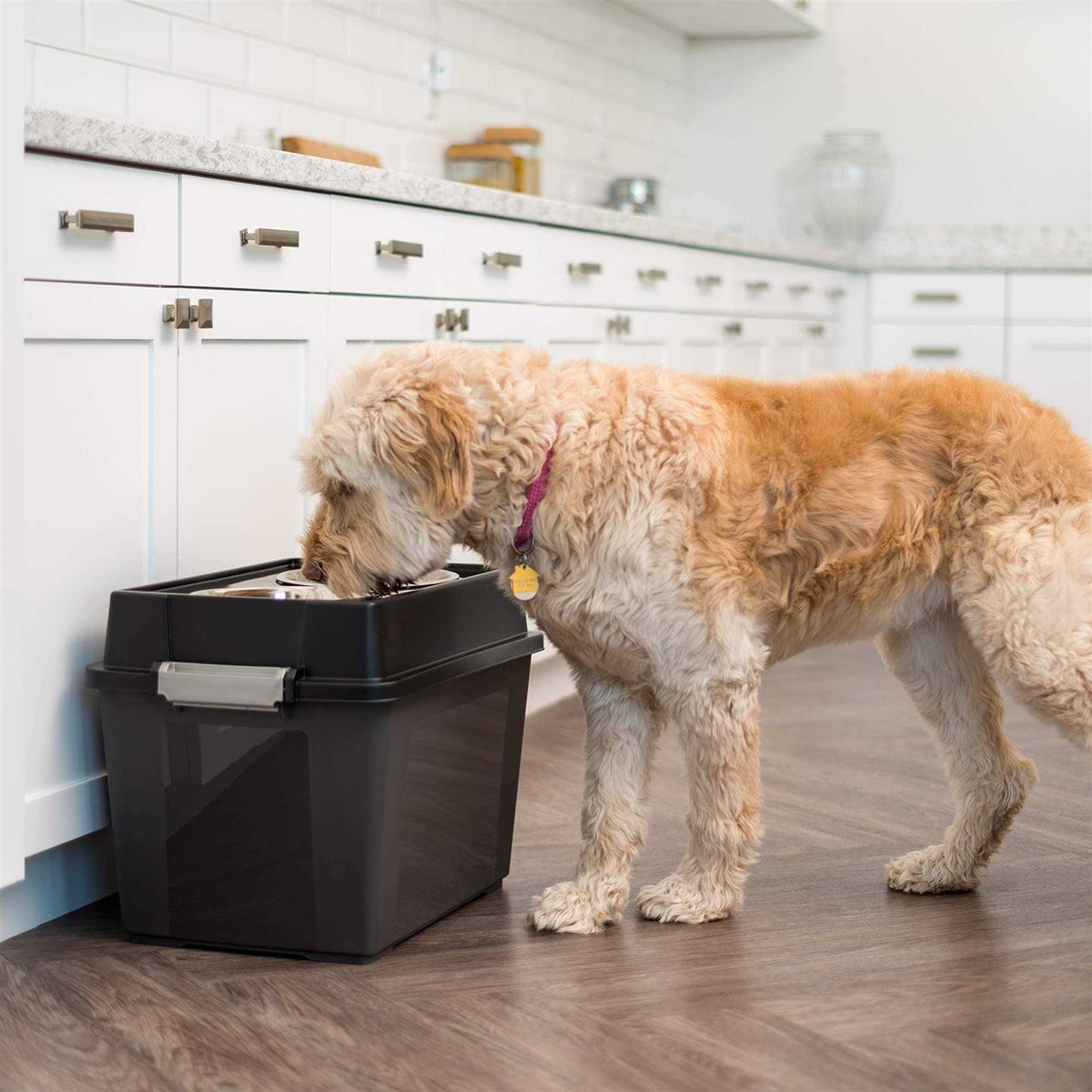 Elevated Pet Feeder with Airtight Storage X538439