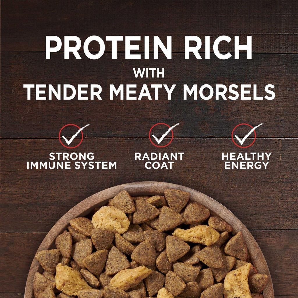 Grain Free Natural Dry Dog Food R71705