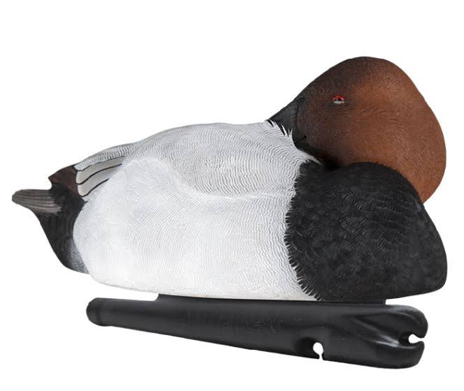 Foam-Filled Canvasback Decoys J432896