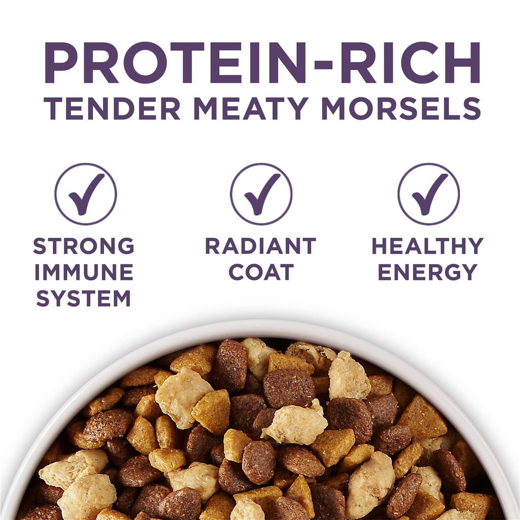 Adult Dry Dog Food for Senior Dogs L755