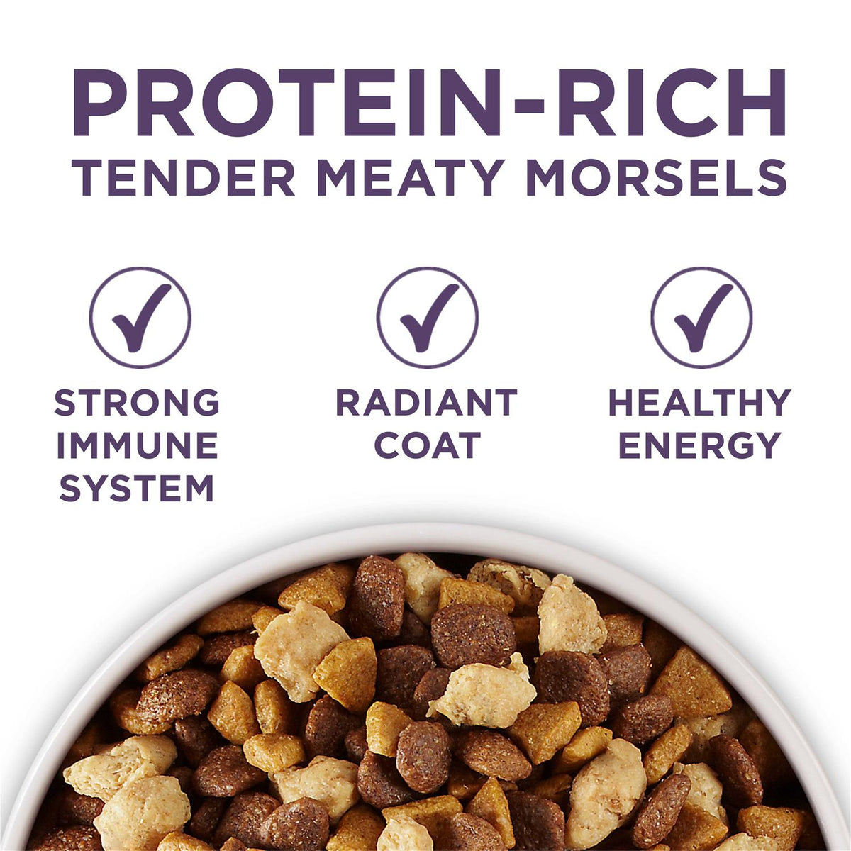 Adult Dry Dog Food for Senior Dogs L755