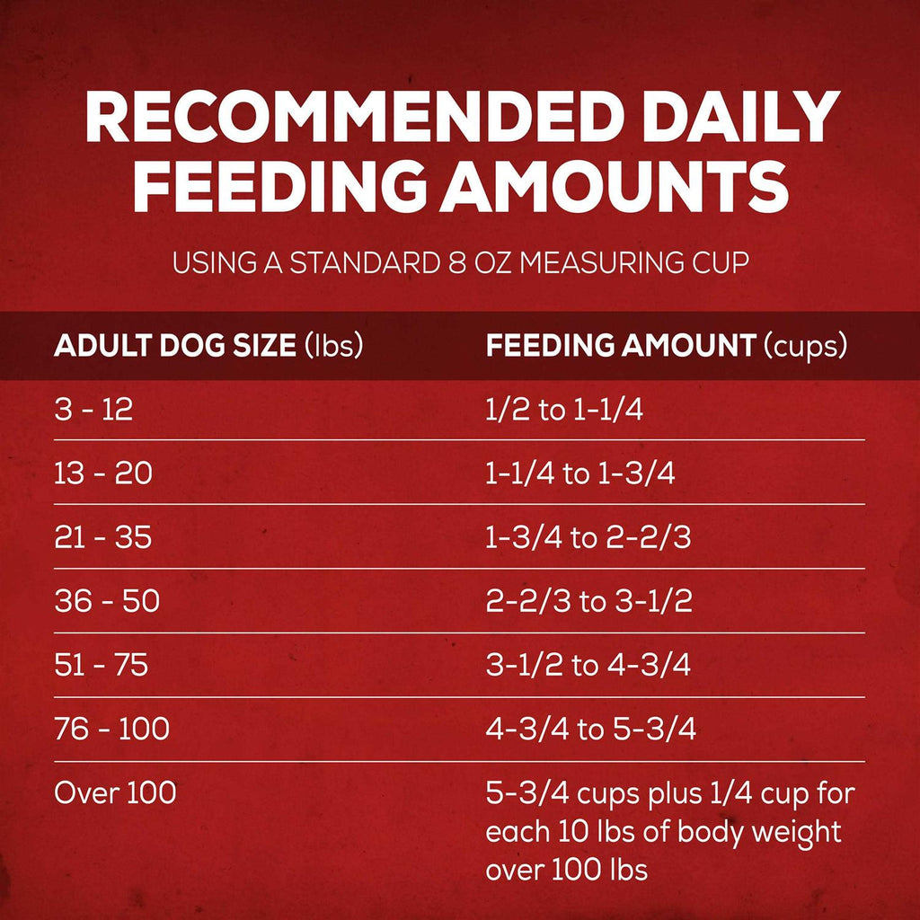 Savory Beef Dry Dog Food V3675