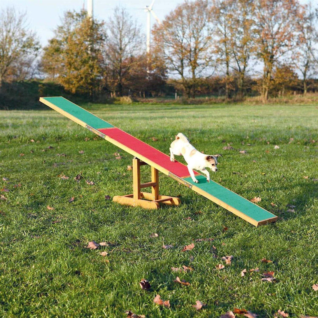 Agility Dog Training Seesaw H228797