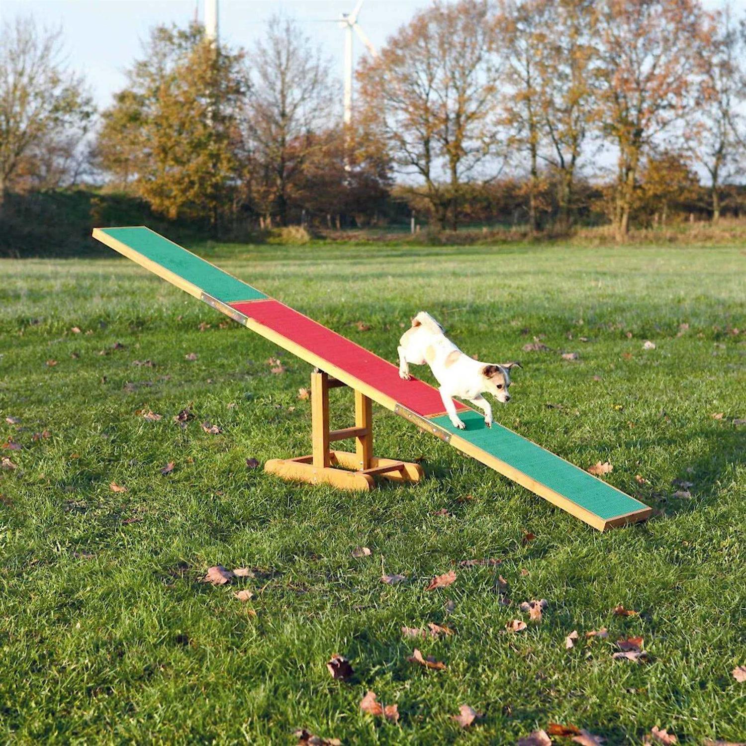 Agility Dog Training Seesaw H228797