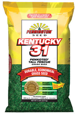 Kentucky 31 Tall Fescue Grass Seed 25 lb A762127