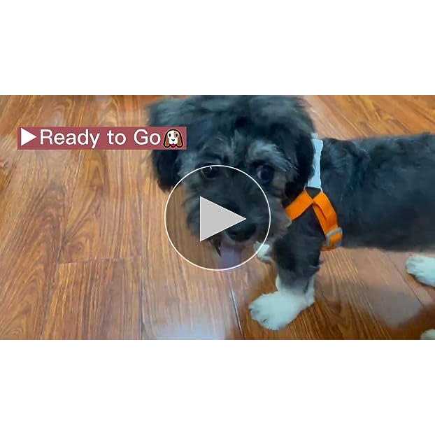 Adjustable No Pull Dog Harness with Reflective Vest and Leash E224358