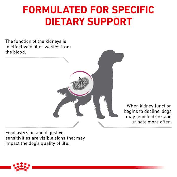 Veterinary Diet Renal Support Dry Dog Food O550643