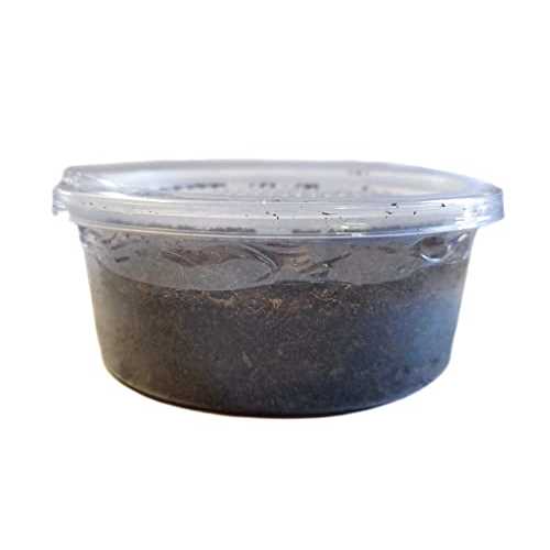 Josh's Frogs Canadian Nightcrawlers/Earthworms Live Feed Reptile Food, 12 count - Pet Supplies online store