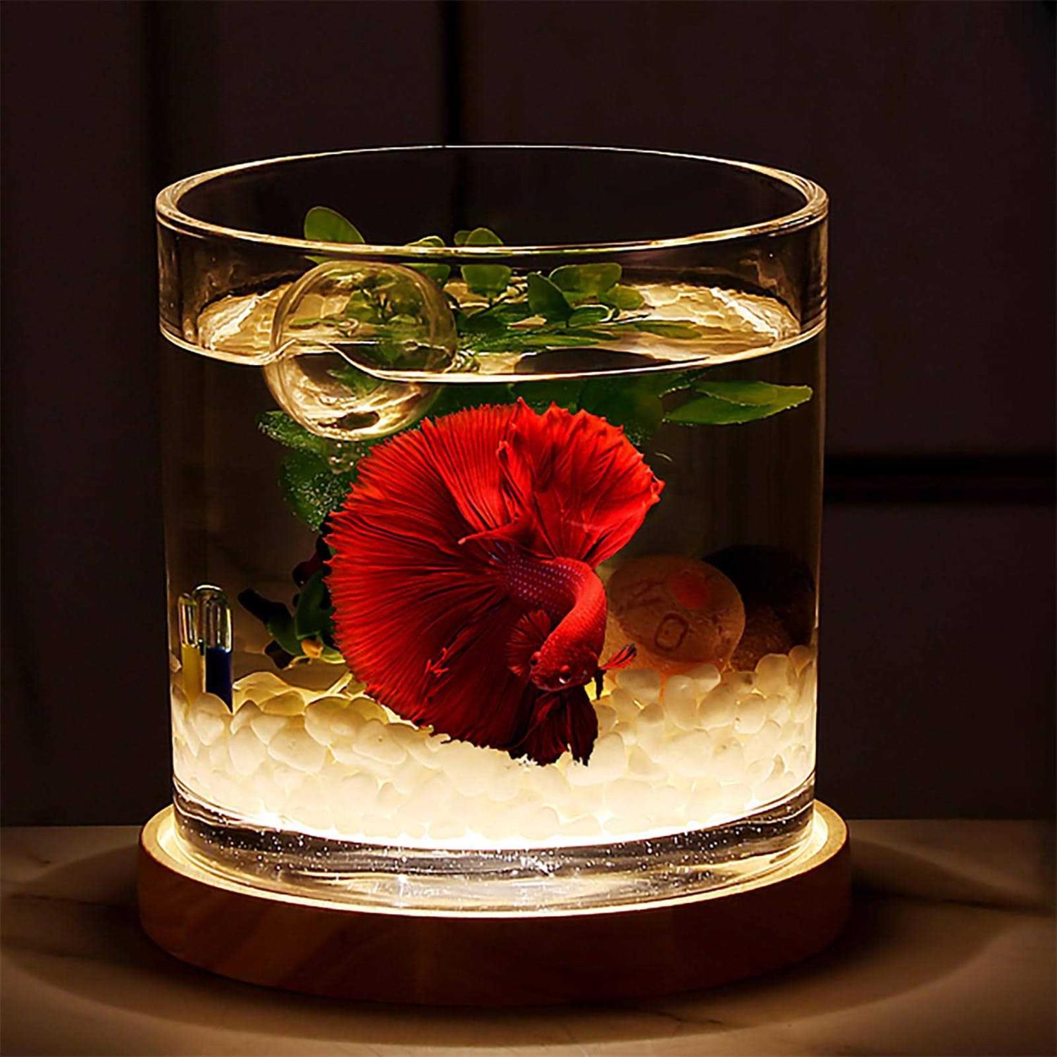 Aquarium Starter Kit 0.81-Gallon Fish Tank for Beginner Cylindrical Betta Fish Bowl with Wooden Base LED Light Water Pump U713497