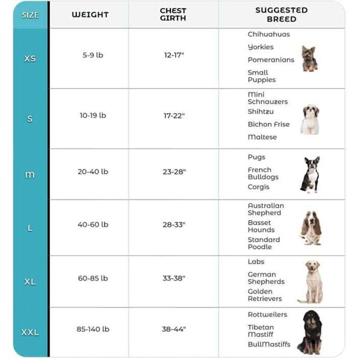 No Pull Easy On-Off Dog Harness M183686