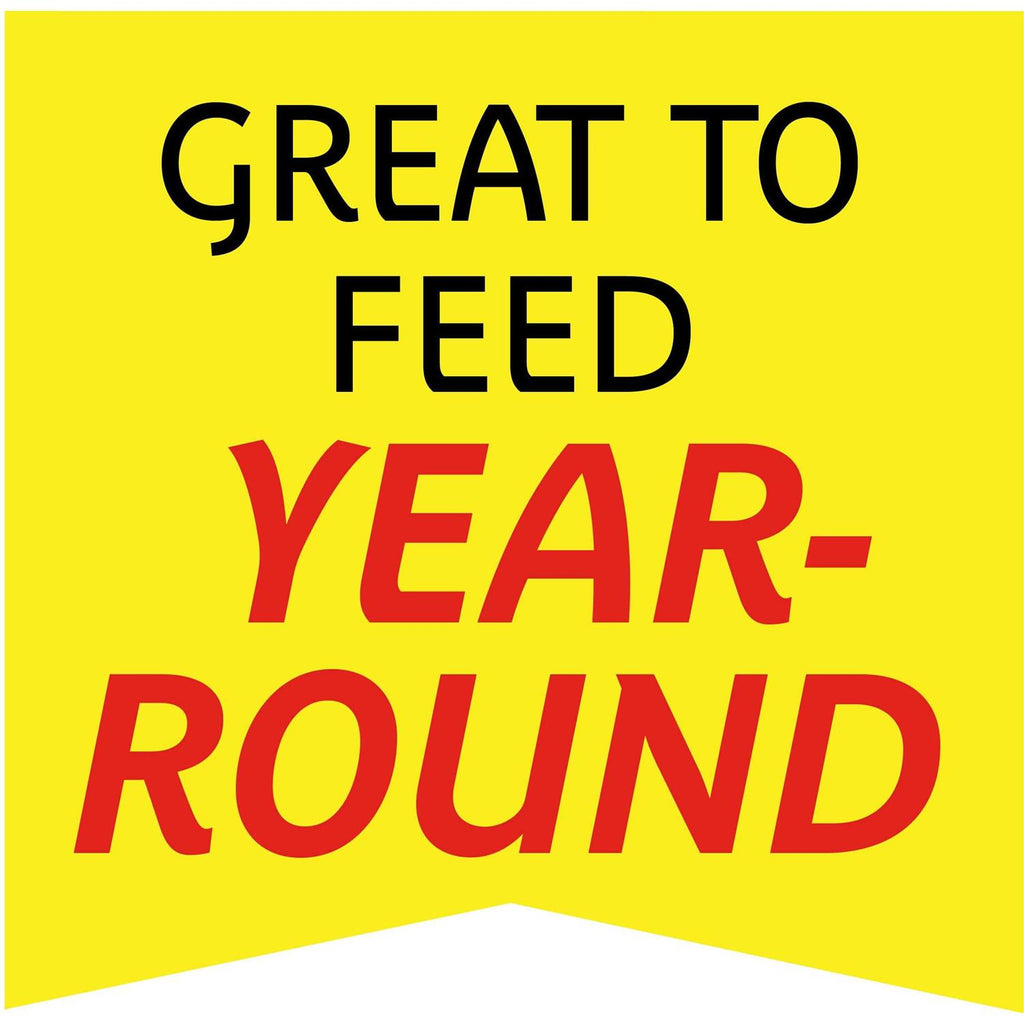 Wild Bird Feed and Seed F5971