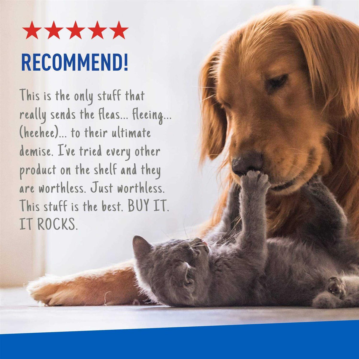 Flea and Tick Spray for Pets R443