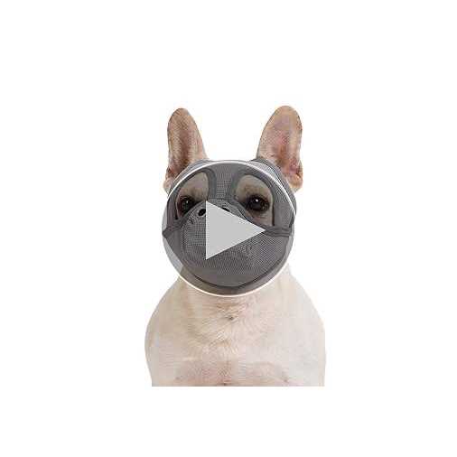 Short Snout Dog Muzzle Adjustable Breathable Mesh D777