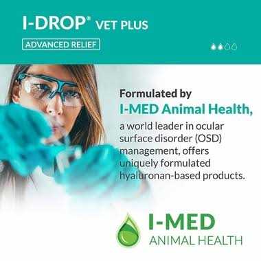 Pet Supplies Online Store H93194