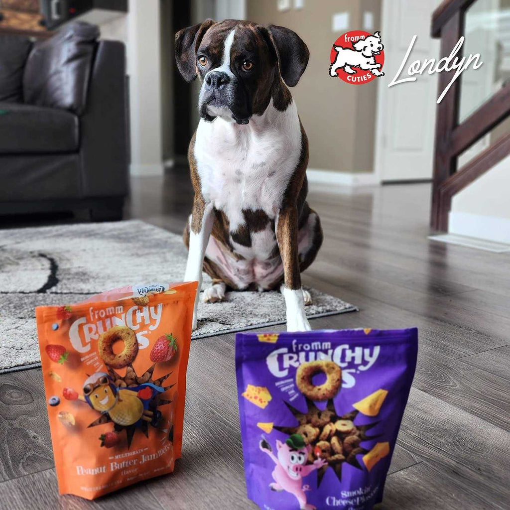 Crunchy O's Dog Treats X9509