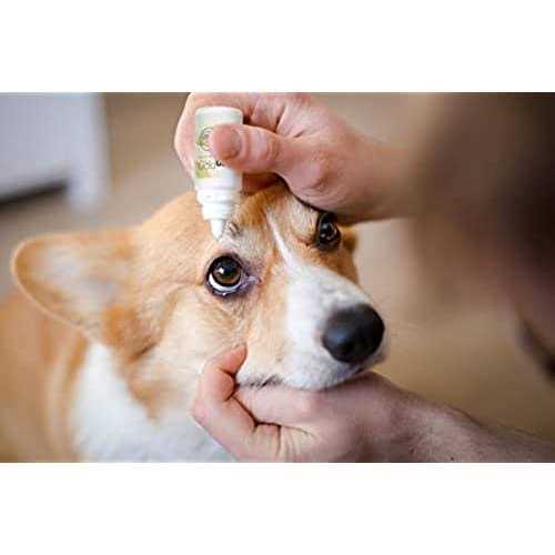 Pet Eye Drops for Cataracts Vision Clarity E43658