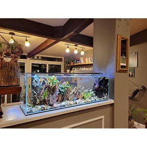 Bookshelf Aquarium F88540