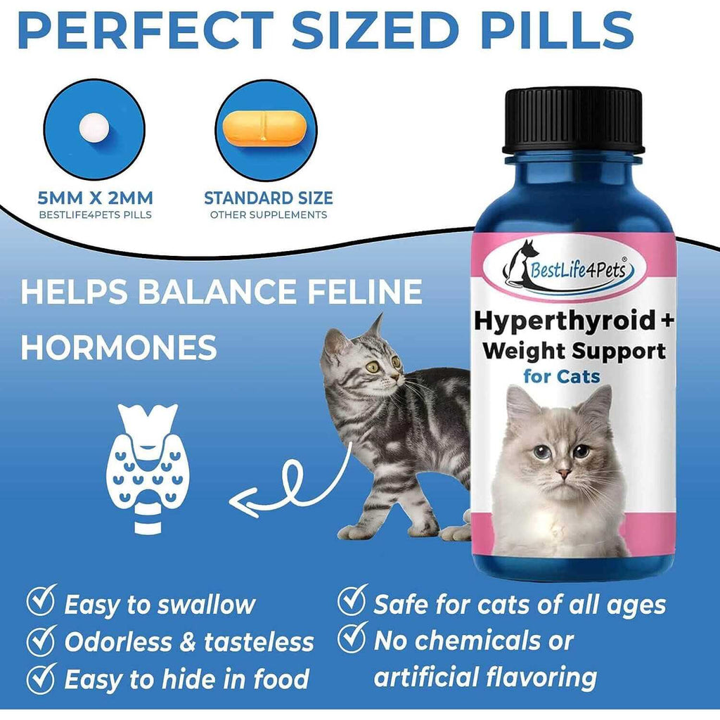 Cat Thyroid Supplement for Weight Gain and Metabolic Support Y7948