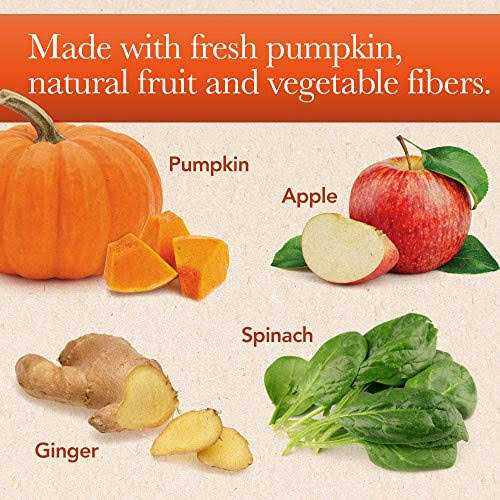 Pumpkin Puree Digestive Supplement for Cats & Dogs L184829