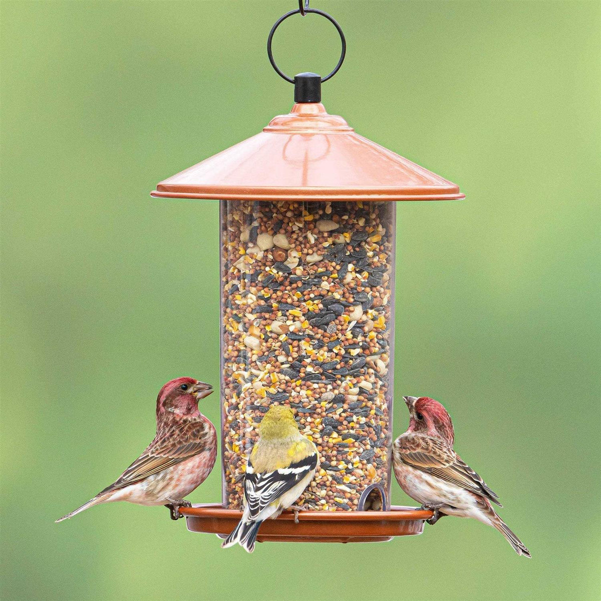 Peanut & Sunflower Wild Bird Feed P5393
