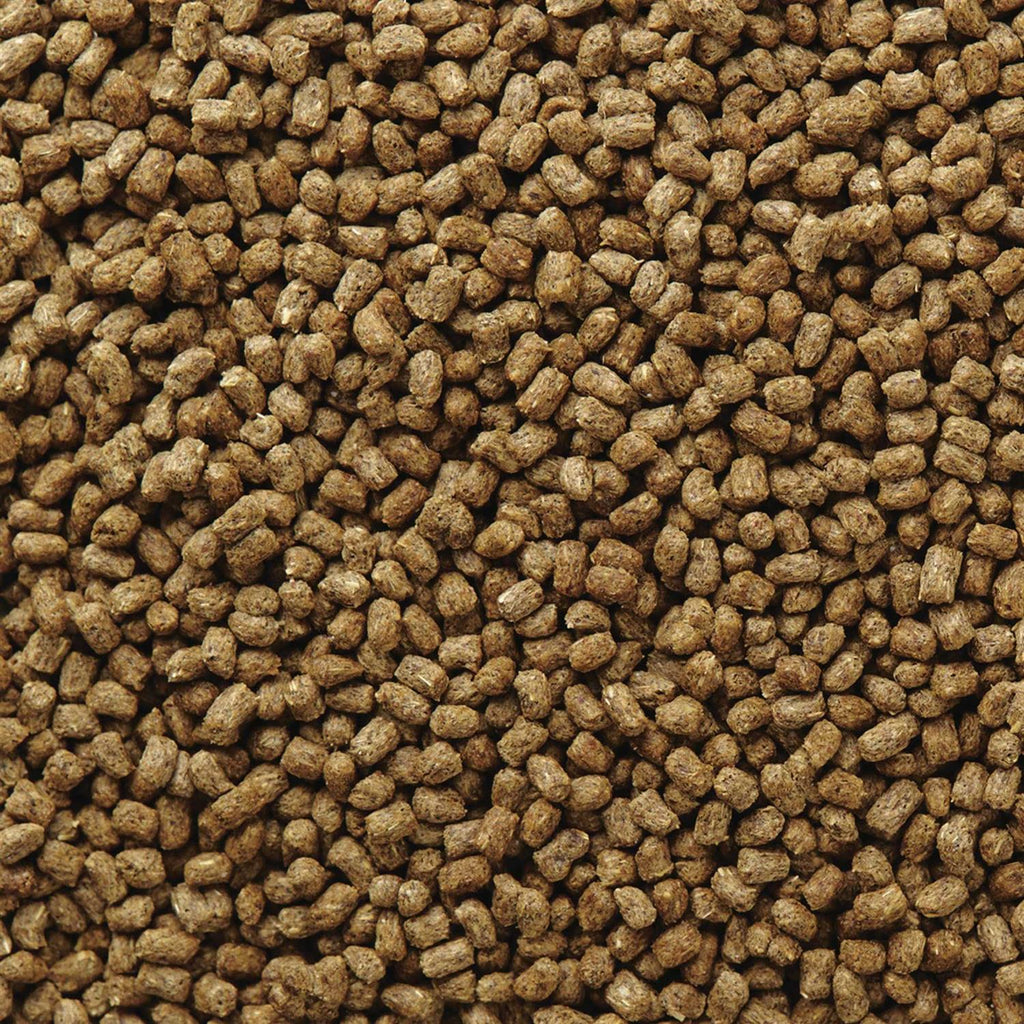 Hedgehog Food Q41317
